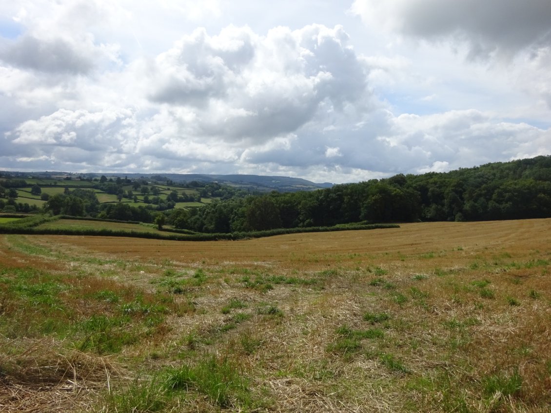 Point de vue sympathique qui permet d'admirer le bocage encore bien présent. 