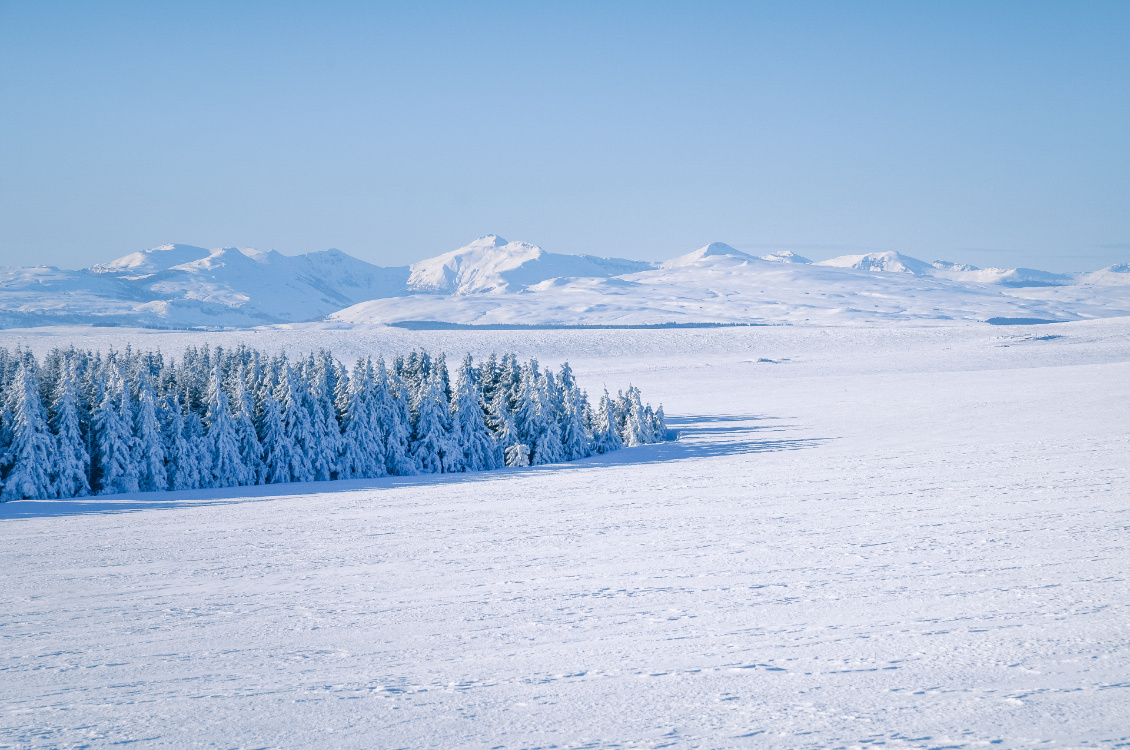 Grand Nord ? Les bois du Rayet dans le Cézallier, et au loin les monts du Cantal.
Photo : Guillaume Hermant.