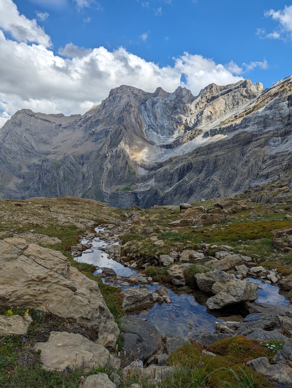 Plateau herbeux, ruisseau et vue magnifique => bon spot de bivouac !