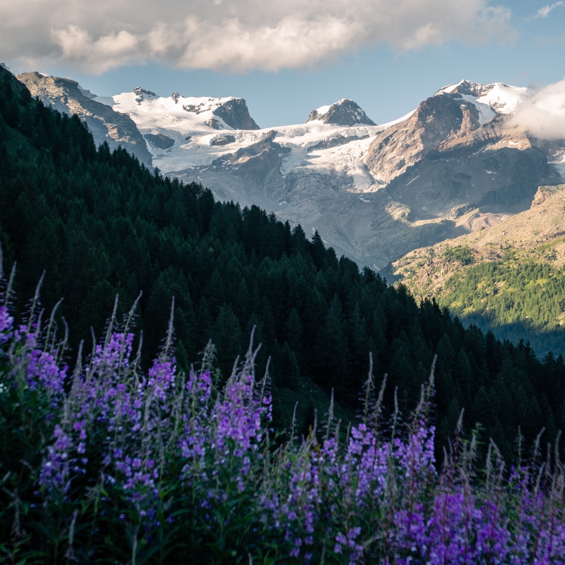 Monte Rosa !