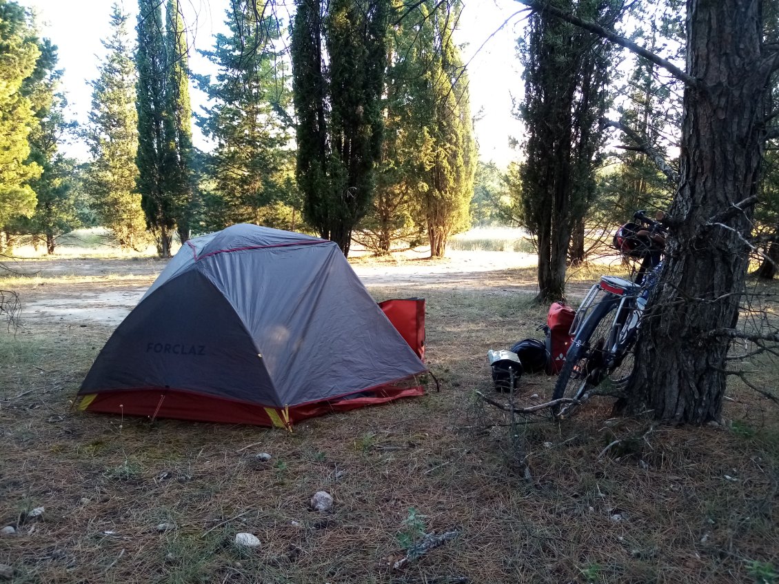 Bivouac dans un petit bois près d'Avignon.