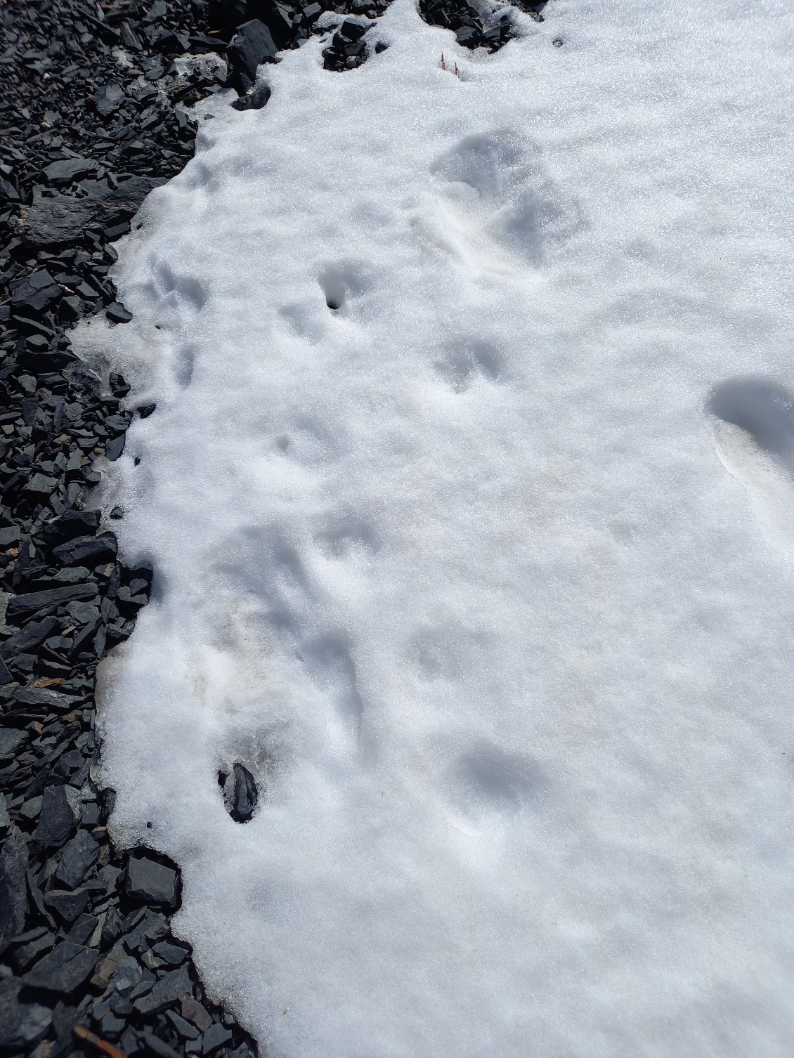 traces - ANGE GARDIEN -