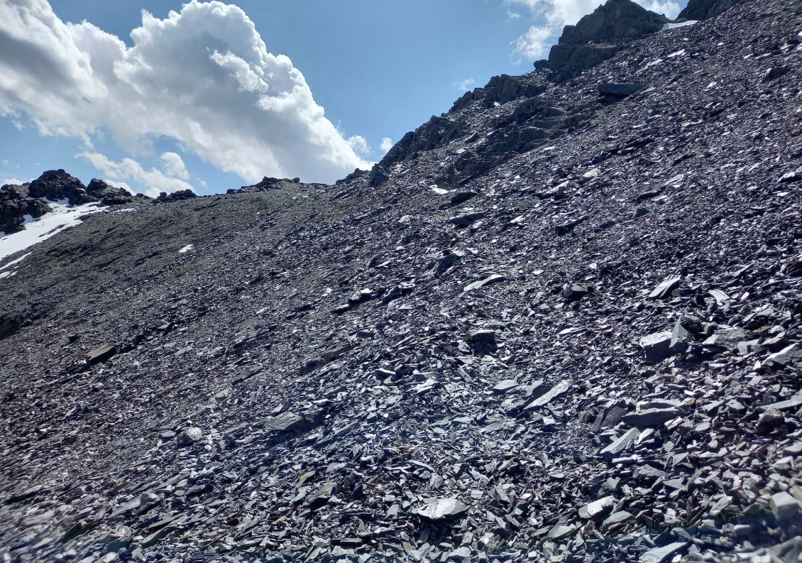 ca monte