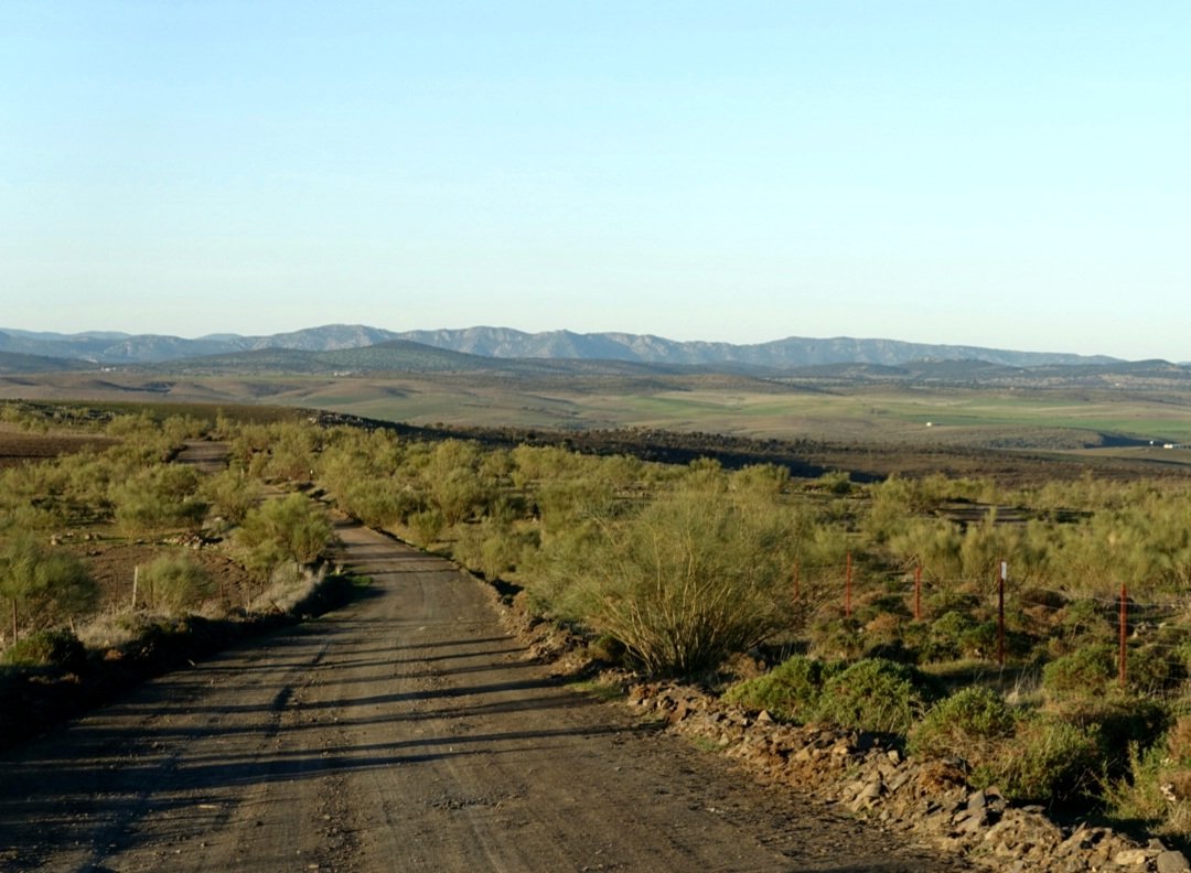 Espagne : Córdoba > Jarandilla de la Vera (Estrémadure)