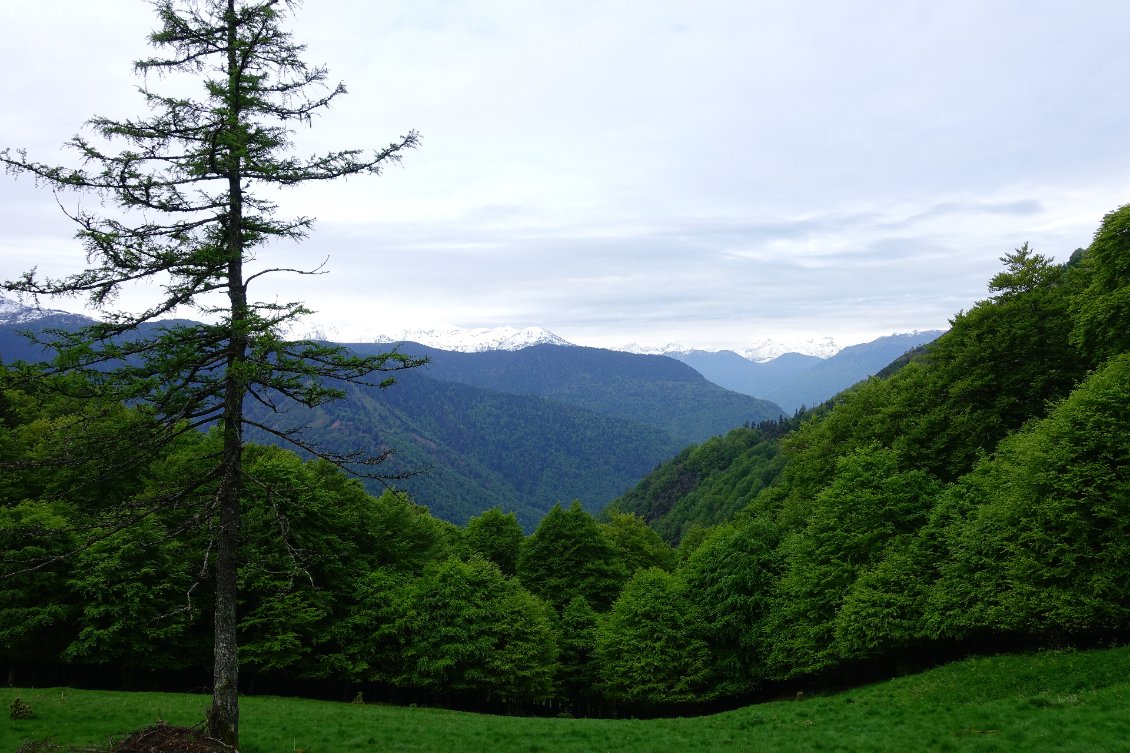 Vue depuis le col d'Artigascou, première nuit en France. À l'horizon les sommets enneigés de la frontière.