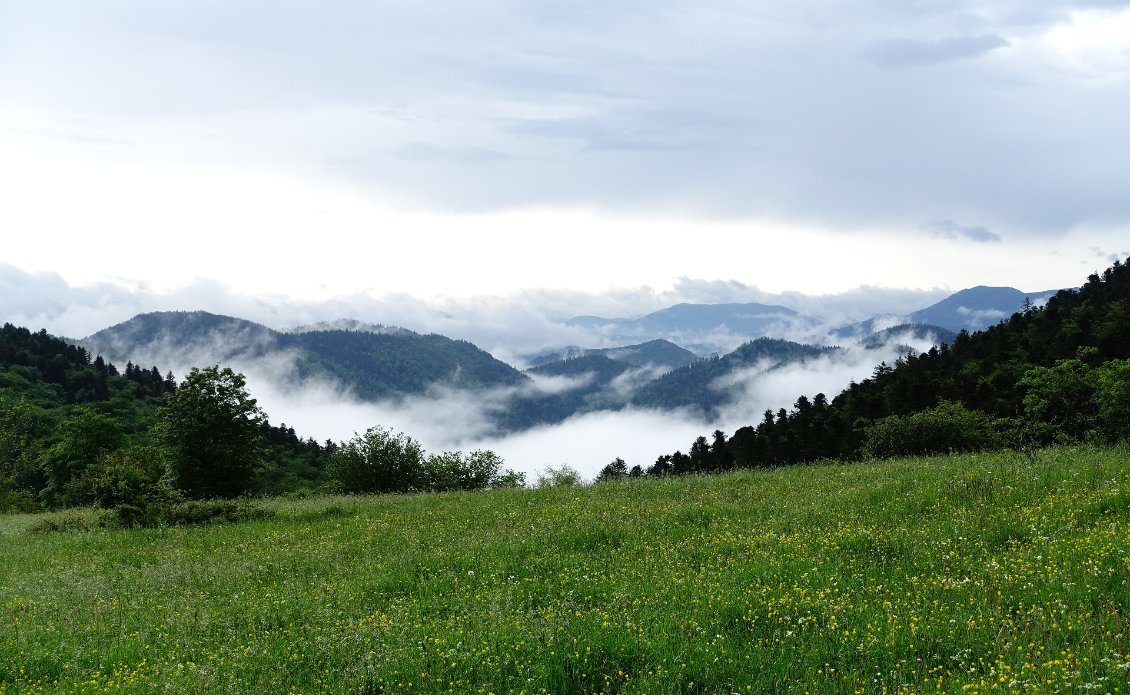 Avec toutes ces précipitations, l'eau qui s'évapore et recondense forme ces nuages dispersés en matinée.