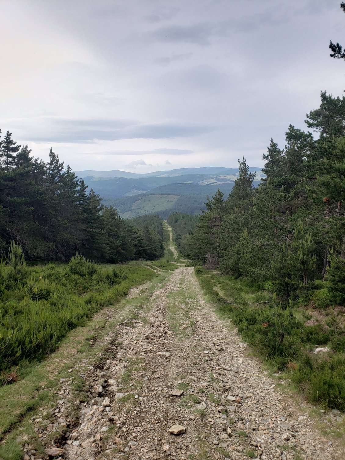 La montagne noire dans le Tarn traversée par de grands chemins forestiers