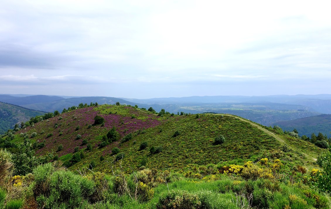 Le paysage de transition entre la Lozère et l'Ardèche que je m'apprête à traverser