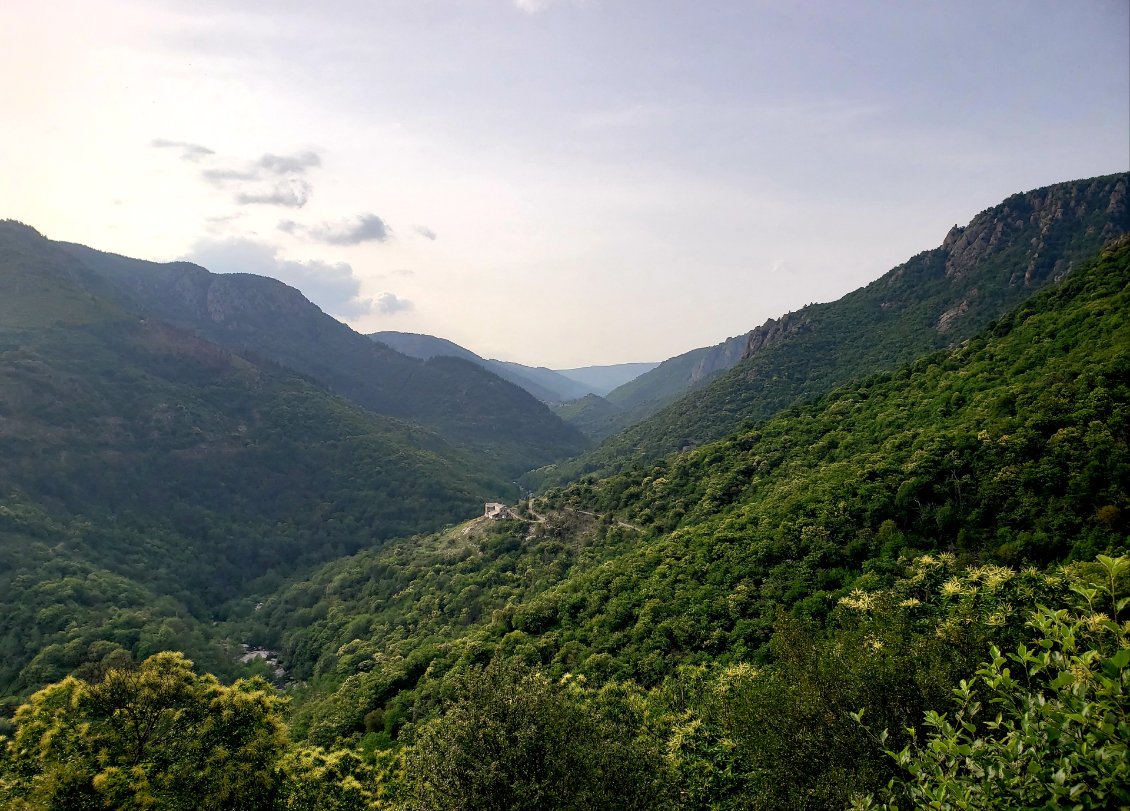 Entrée en Ardèche dans les forêts de châtaigniers