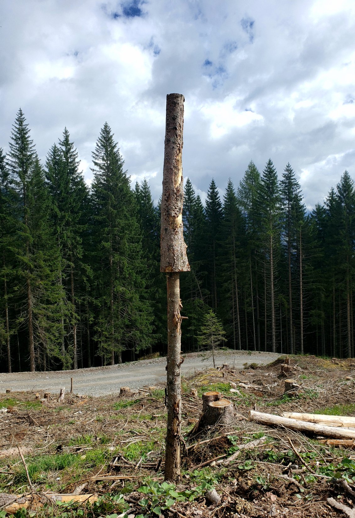 Les forestiers sont de grands enfants, ils laissent souvent derrière eux des sculptures ou autres constructions amusantes.