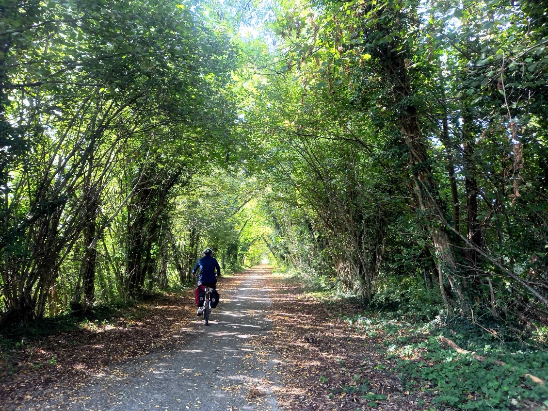 c'est beau - VIVRE au VERT - ETRE PROTEGER PAR LA NATURE ET LE MOUVEMENT -