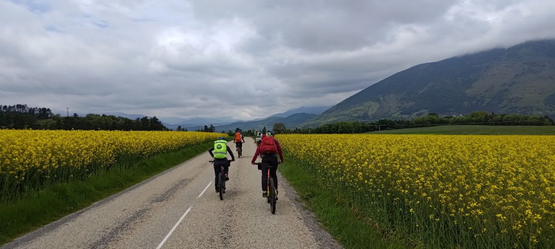 J4 - Dans les plaines du Trièves, avant la montée au col de l'Aiguille