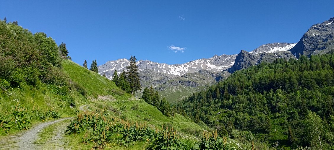 J37 - Piste entre La Savonne et le vallon de Mercuel.