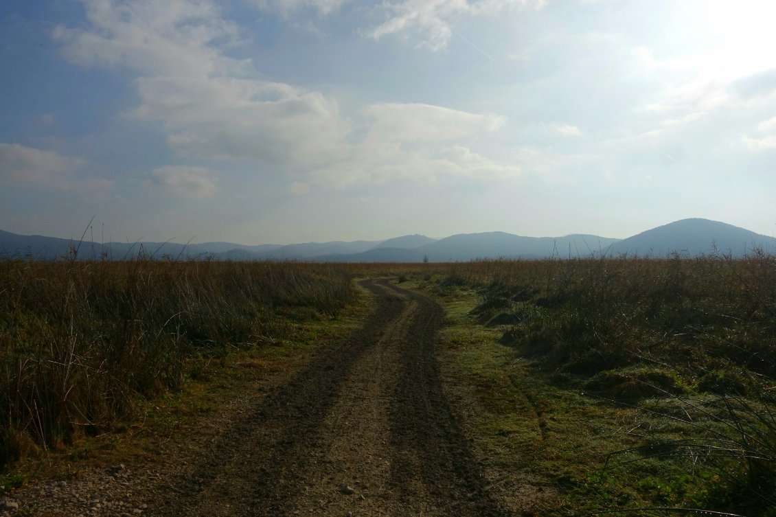 Dans le lac de Cerknica, presque asséché lors de mon passage.