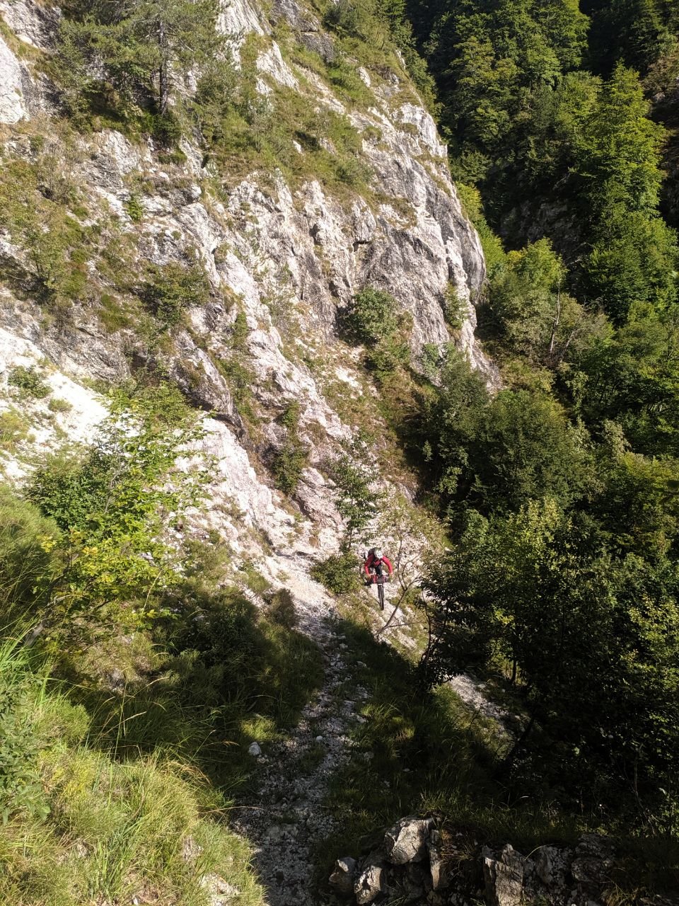 J114 - Descente après le Ricovero Nischiuarch. De nombreux arbres tombés barrent régulièrement le chemin.