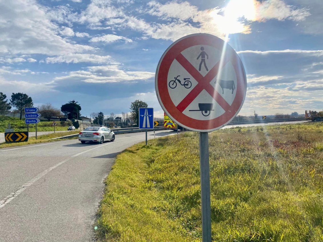 JOUR 13 : Dites aux vaches de pas prendre l'autoroute