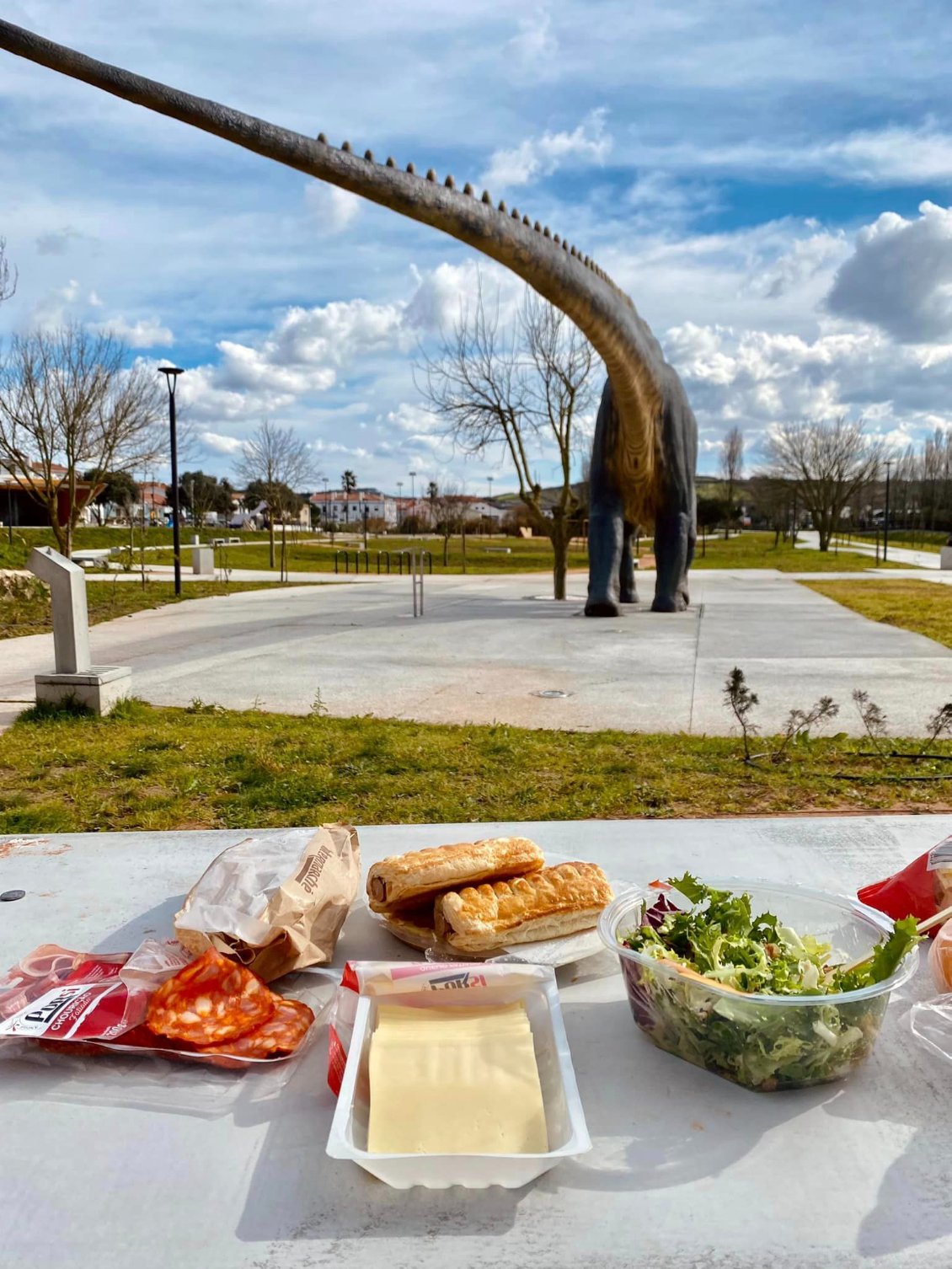 JOUR 15 : Repas avec vue sur l'anus du dino