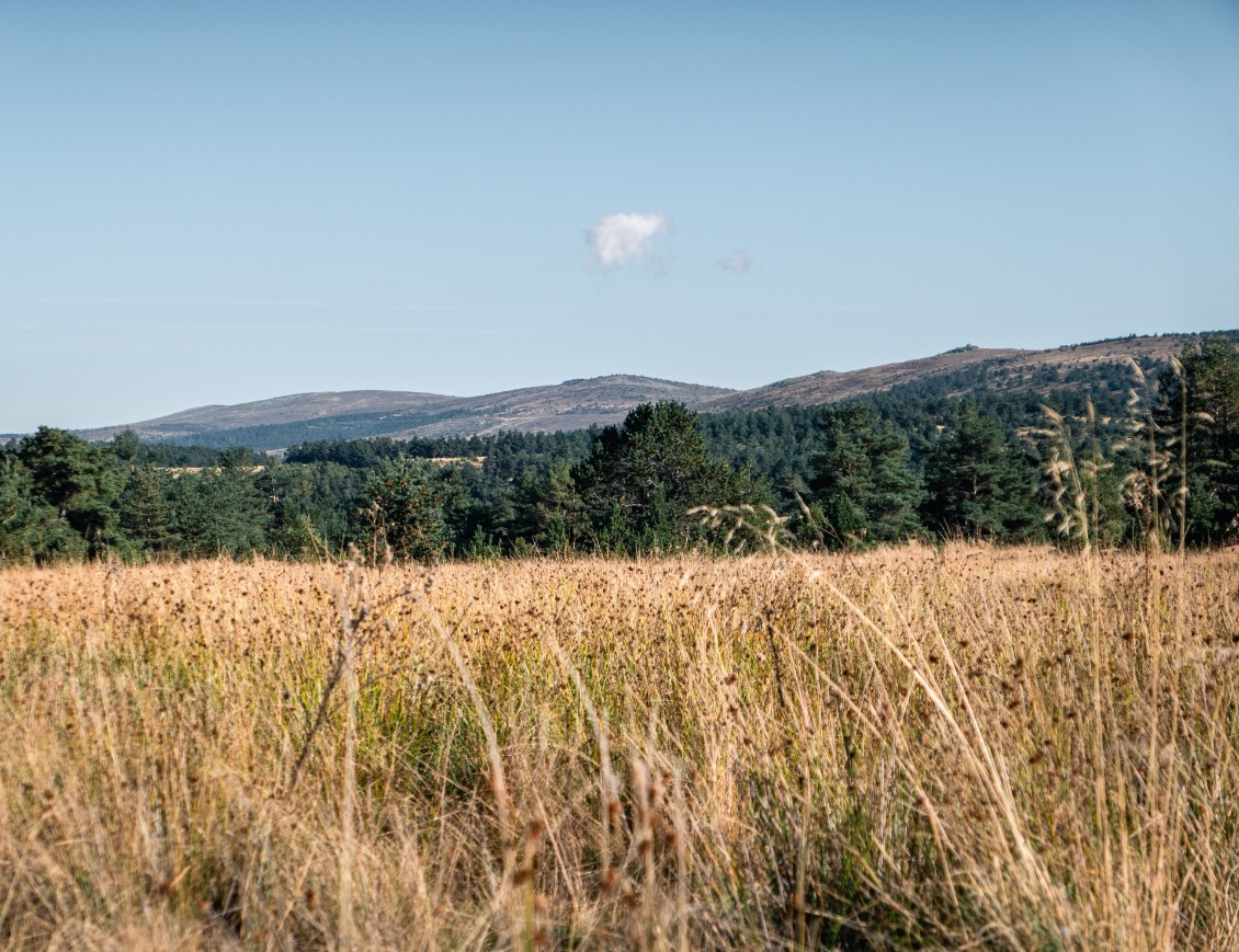 Le mont Lozère, signalé par le nuage.