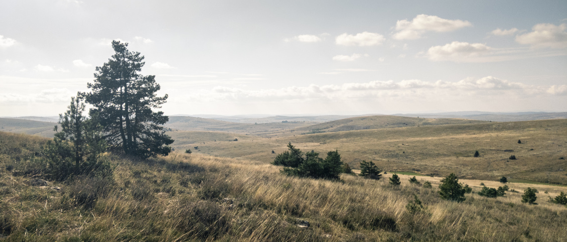 Causse toujours.