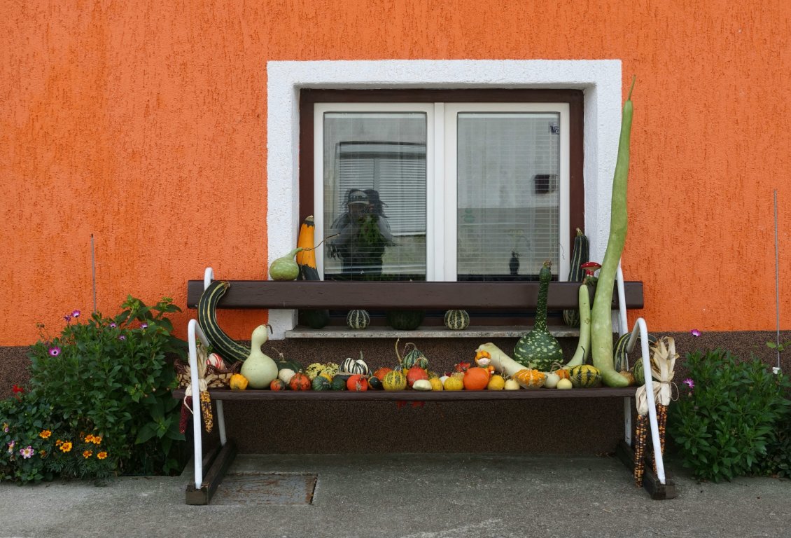 En Slovénie comme en Croatie, on expose ses courges devant sa maison.