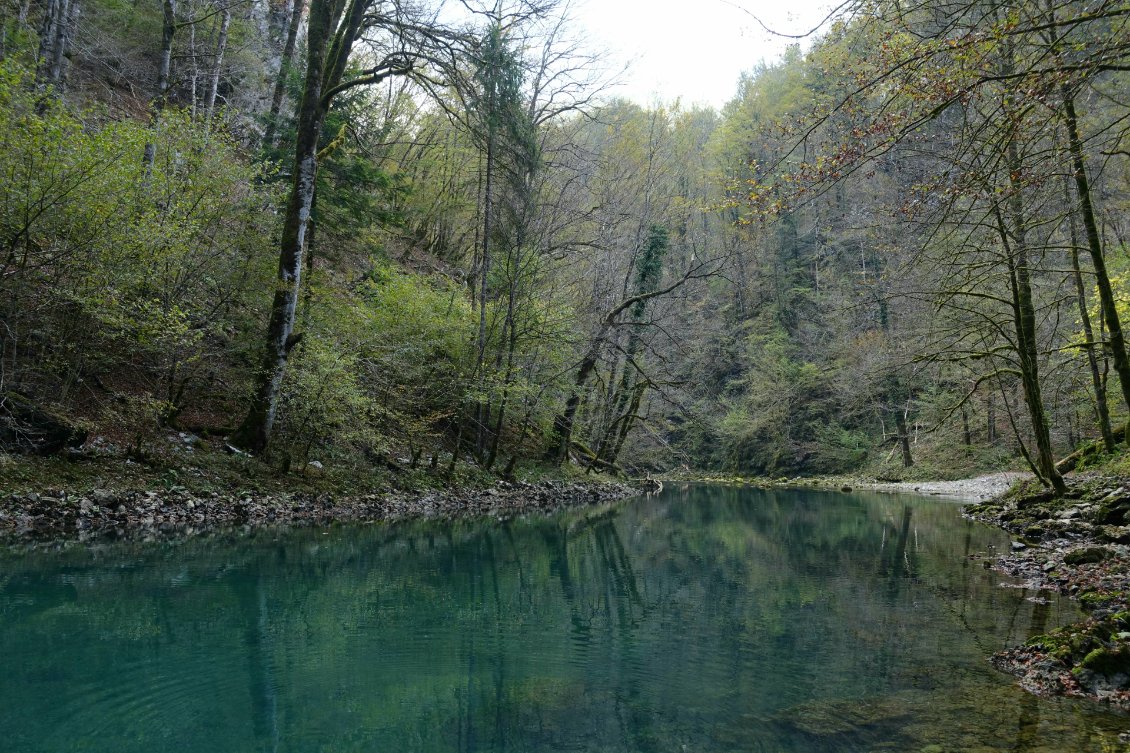 La rivière Kupa à sa source, turquoise et déjà large.
