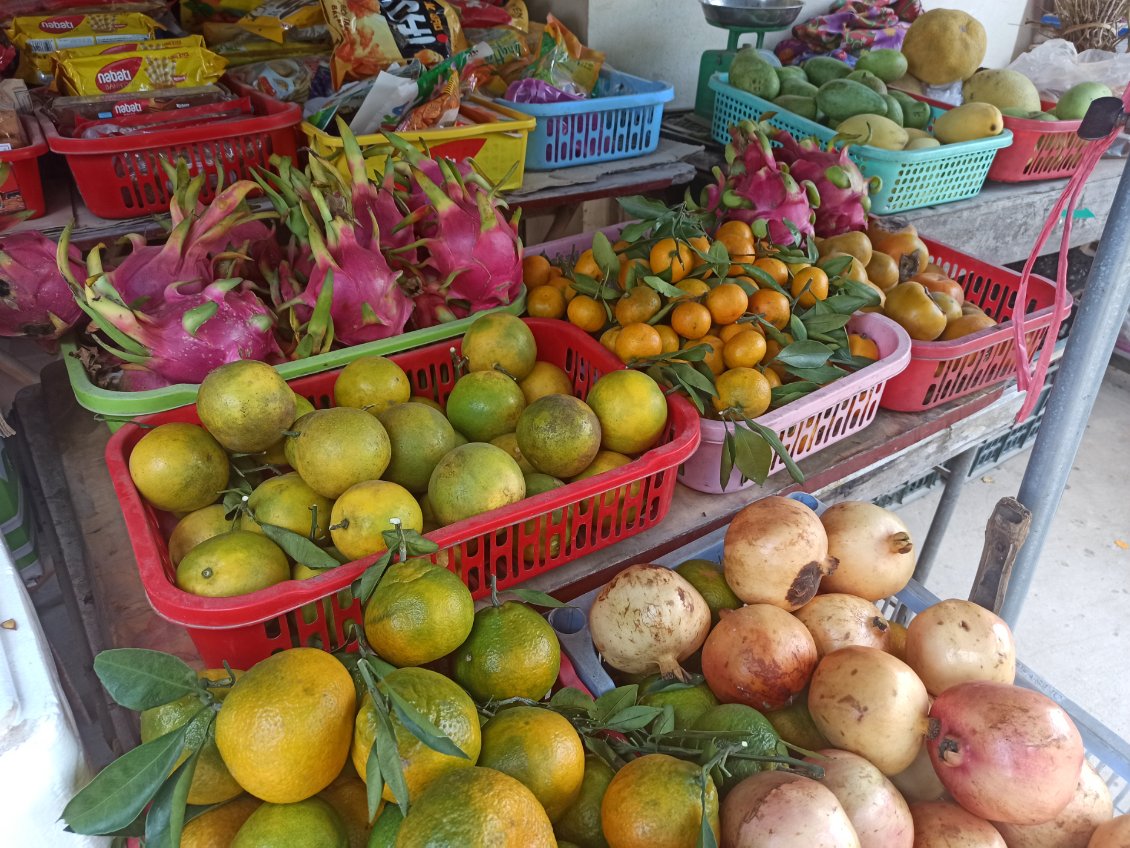 J16. Après discussion avec les propriétaires du magasin, nous avons de gauche à droite : des grenades, oranges (corbeilles de devant et du milieu), fruits du dragon, clémentines, pêches qui ressemblent à des tomates, encore des fruits du dragon, mangues vertes et jaunes, pomélos.