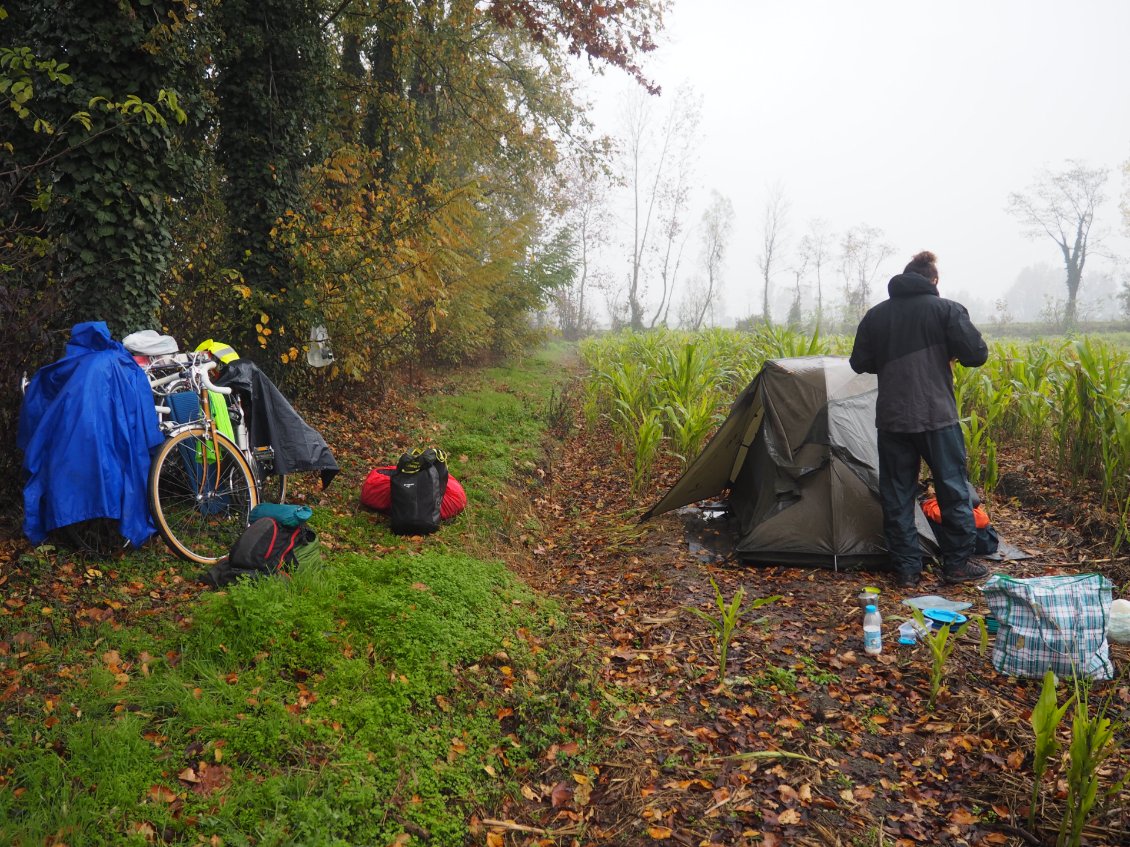 Réveil après une pluie torrentielle.