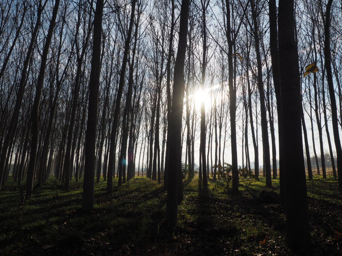 Le soleil vient enfin nous réchauffer.