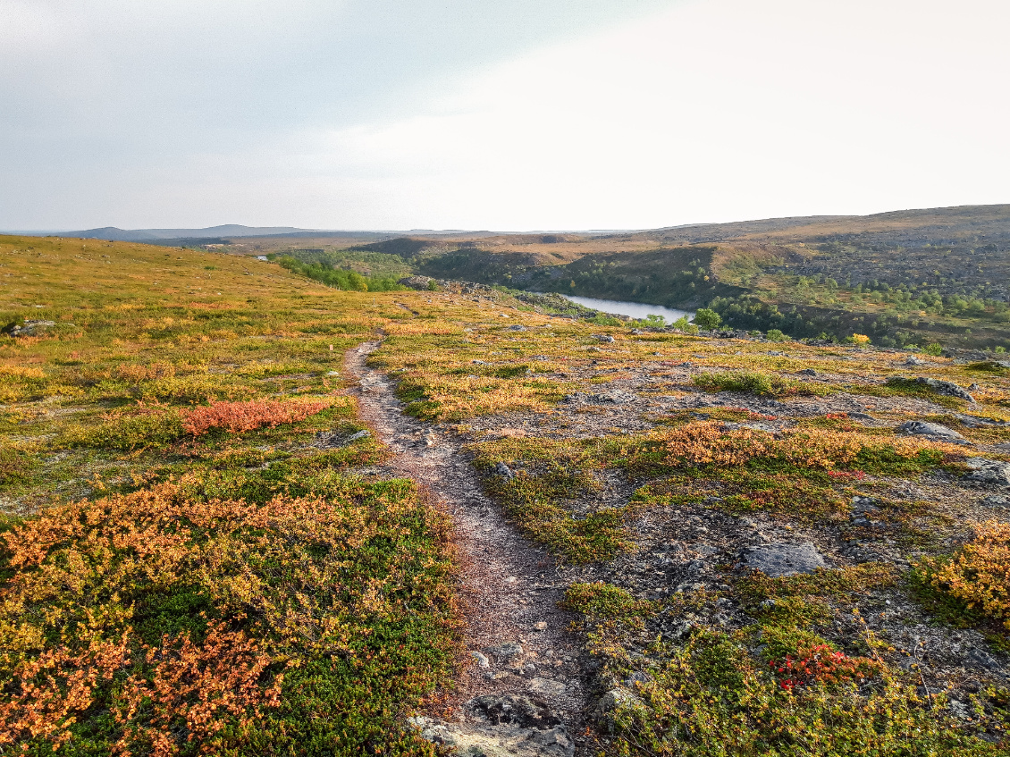 Marcher seule en Laponie finlandaise.
Photo : Adrienne Charmet