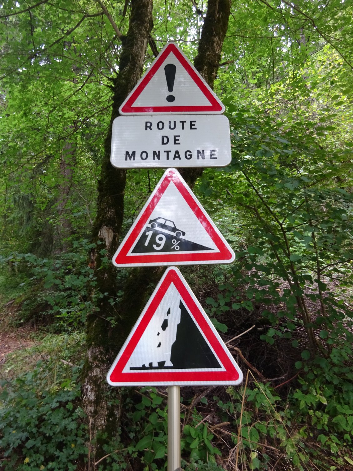 Aiiiee, ça va piquer fort dans les jambes !!