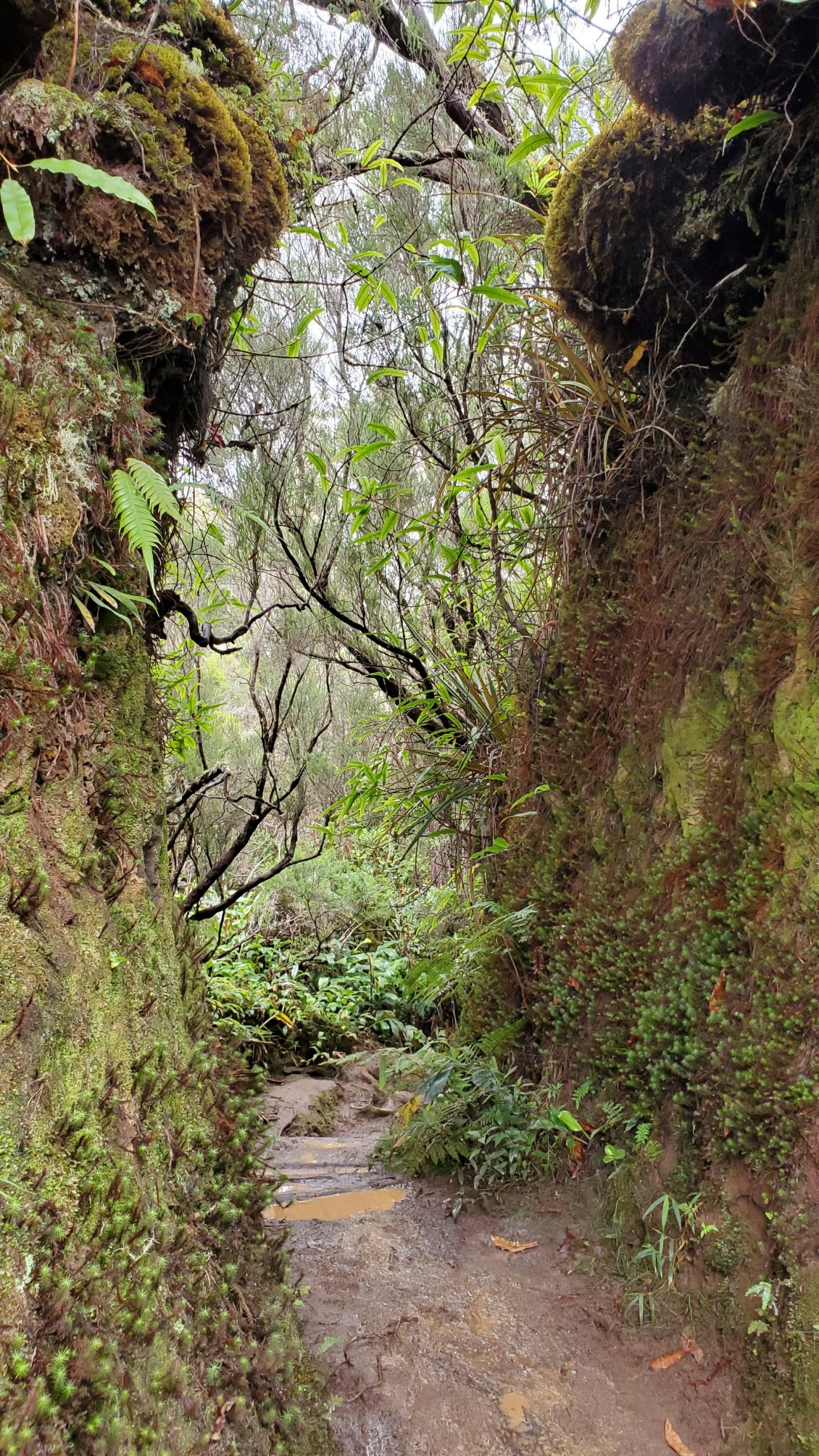 mise en situation rapide sur un chemin boueux et escarpé en allant à la Roche Ecrite.