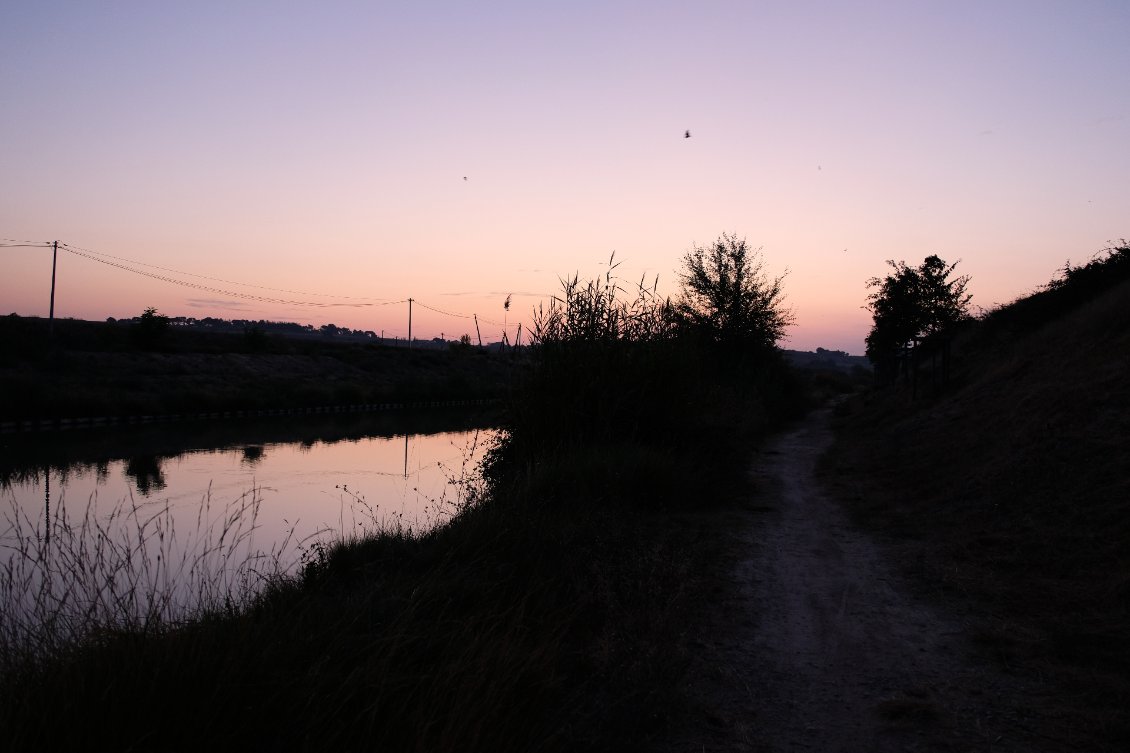 Le canal du Midi à l'aube