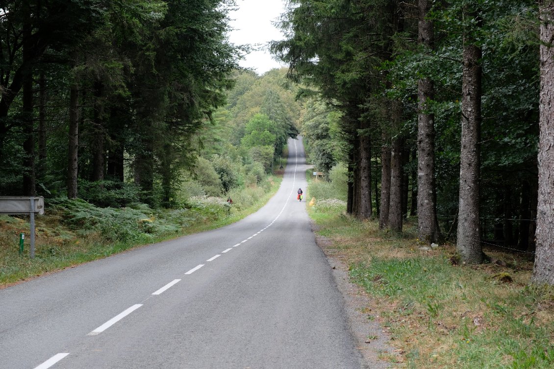 En direction de la Salvetat-sur-Agout