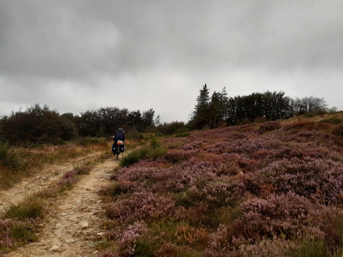 Le chemin est beau et nous amène au col