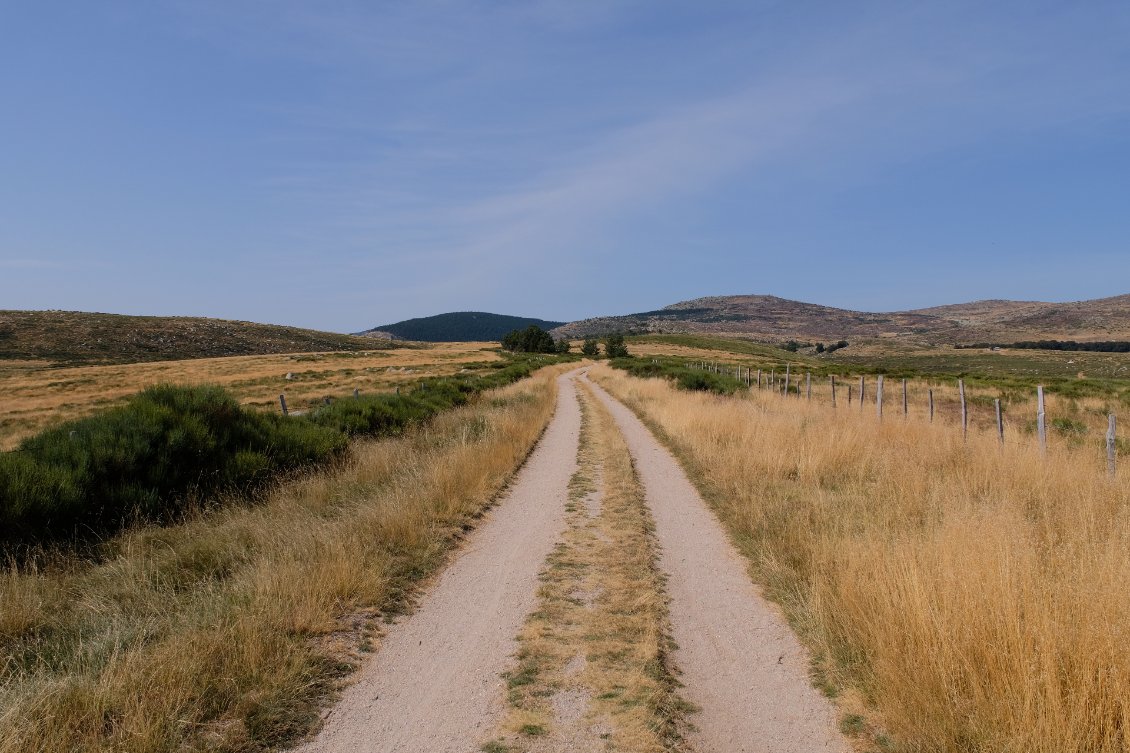 Chemin tout tracé pour nous