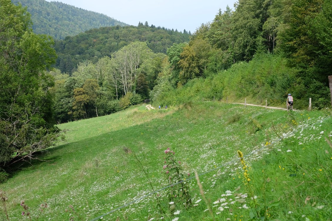 On est bien dans notre Jura