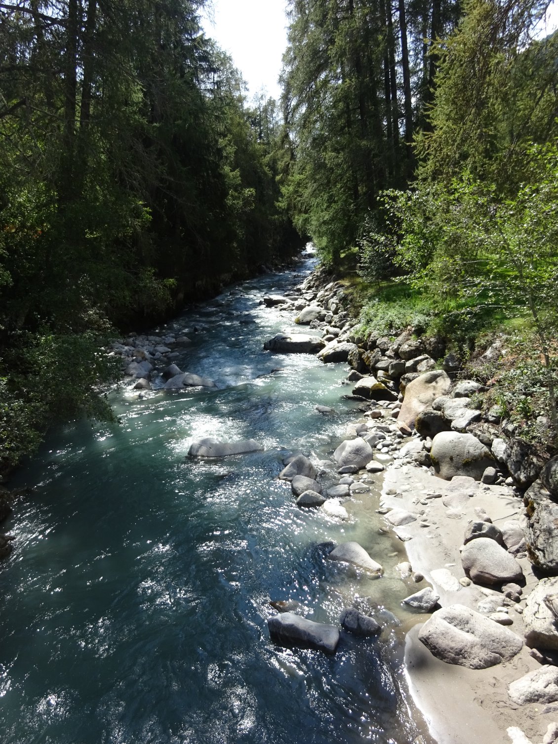 Le Rhône, de plus en plus étroit et sauvage