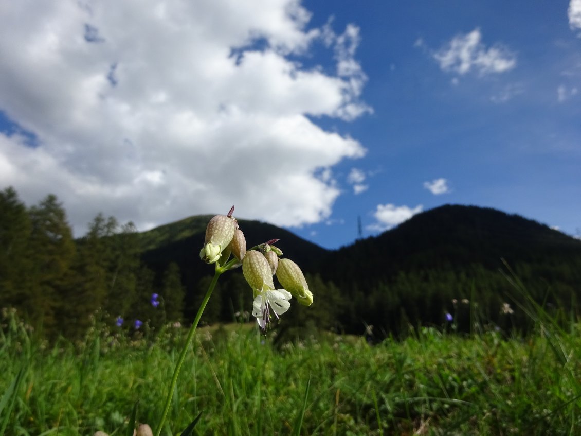 Merveille de la nature, en bord de route !!