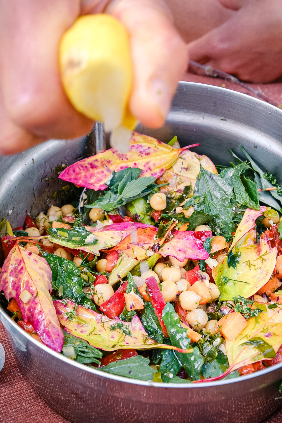 Salade sauvage.
Photo : Jean-Julien Portier (Bivouac et bonne tambouille, éditions Ulmer)