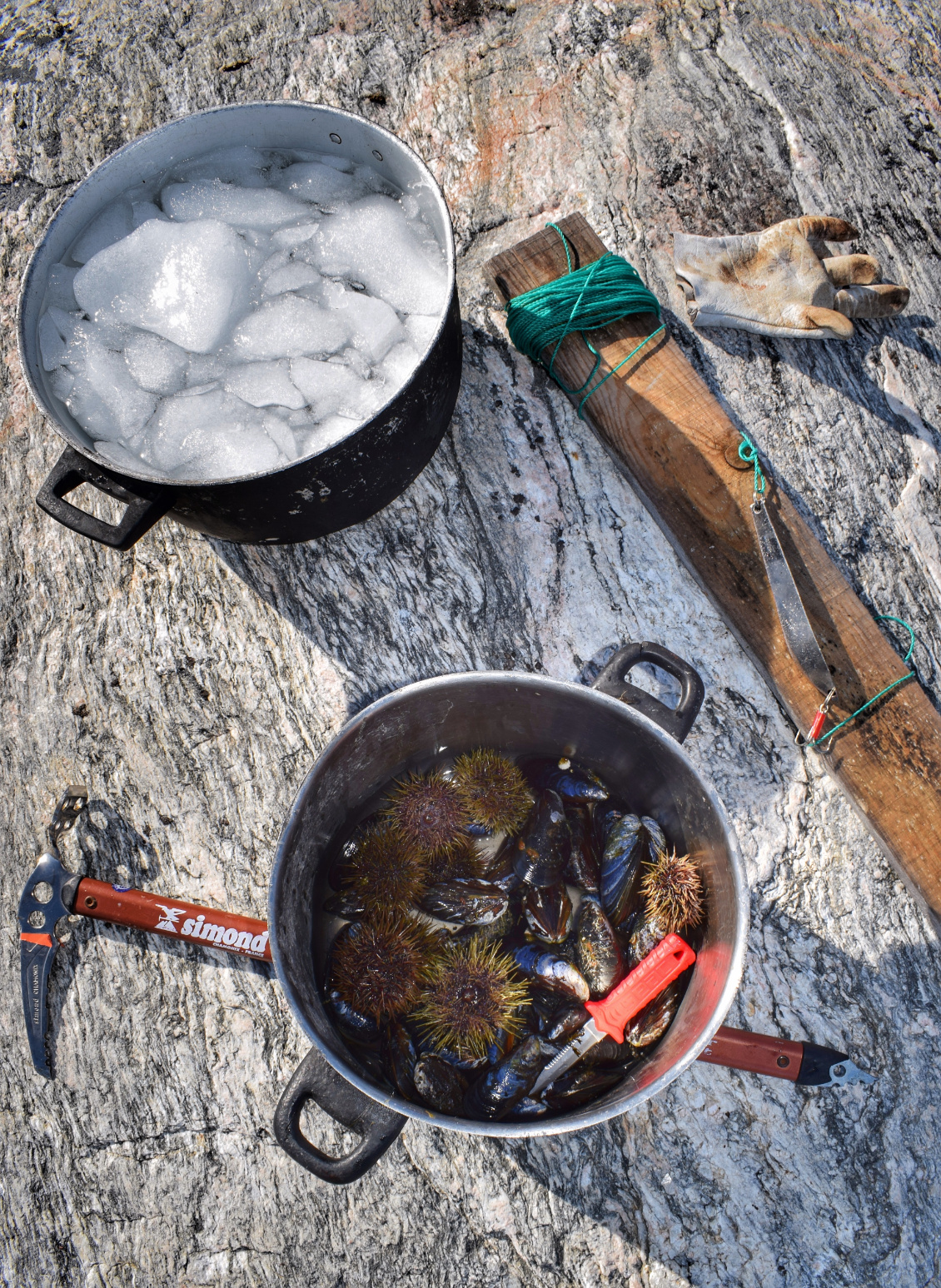 Mettre du piquant dans la popote ! Photo : Ingrid Ulrich. Bivouac arctique : un piolet pour détacher un morceau de glace d'un iceberg. Il ne reste plus qu'à le faire fondre sur le réchaud pour avoir l'eau douce nécessaire pour se désaltérer (et/ou réhydrater son lyophilisé). Une canne à pêche fabriquée avec de la récup, pour titiller le cabillaud en pêchant à la dandine. Et se régaler de moules et d'oursins ramassé à marée basse. La belle vie !
