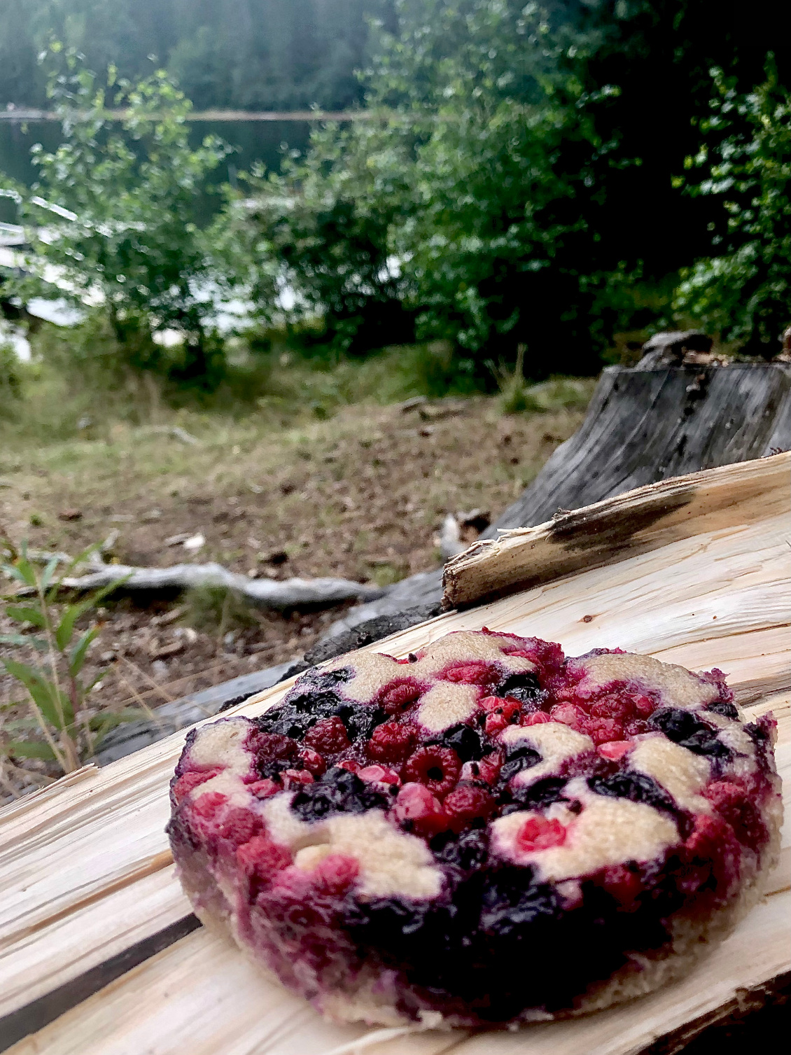 Moelleux aux baies de la forêt, cuit au bain marie sur feu de bois. Photo : Aline Guignard. chasseursdhorizon.com