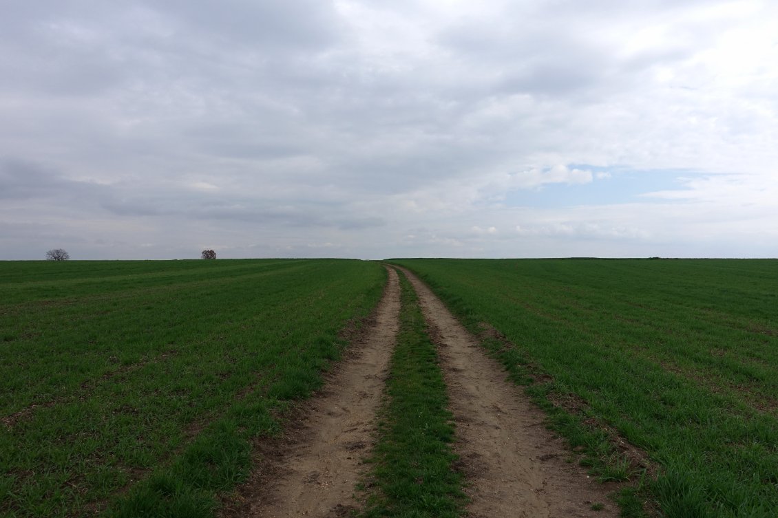 De Sliven à Kırklareli, 200km principalement à travers les champs de blé.
