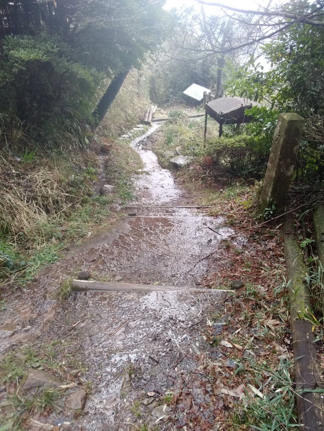 Quand le ruisseau emprunte ton chemin..faut dire qu'il a bien plu hier.