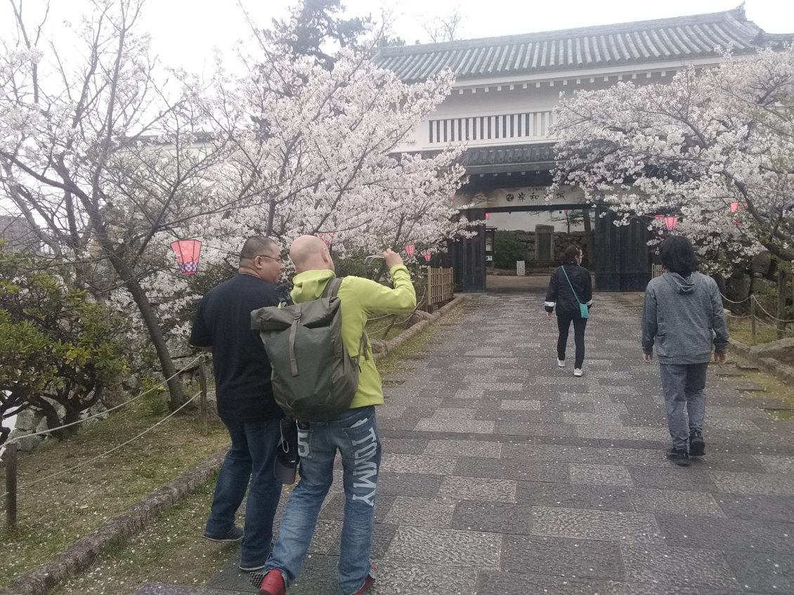 Fumi et Dimitri devant l'entrée du château de Kishiwada.