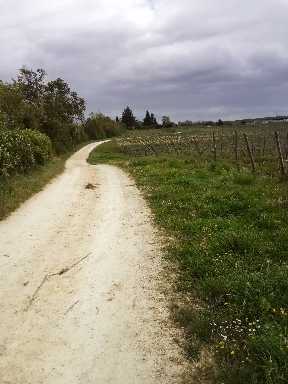 Dans les coteaux, au milieu des vignes.