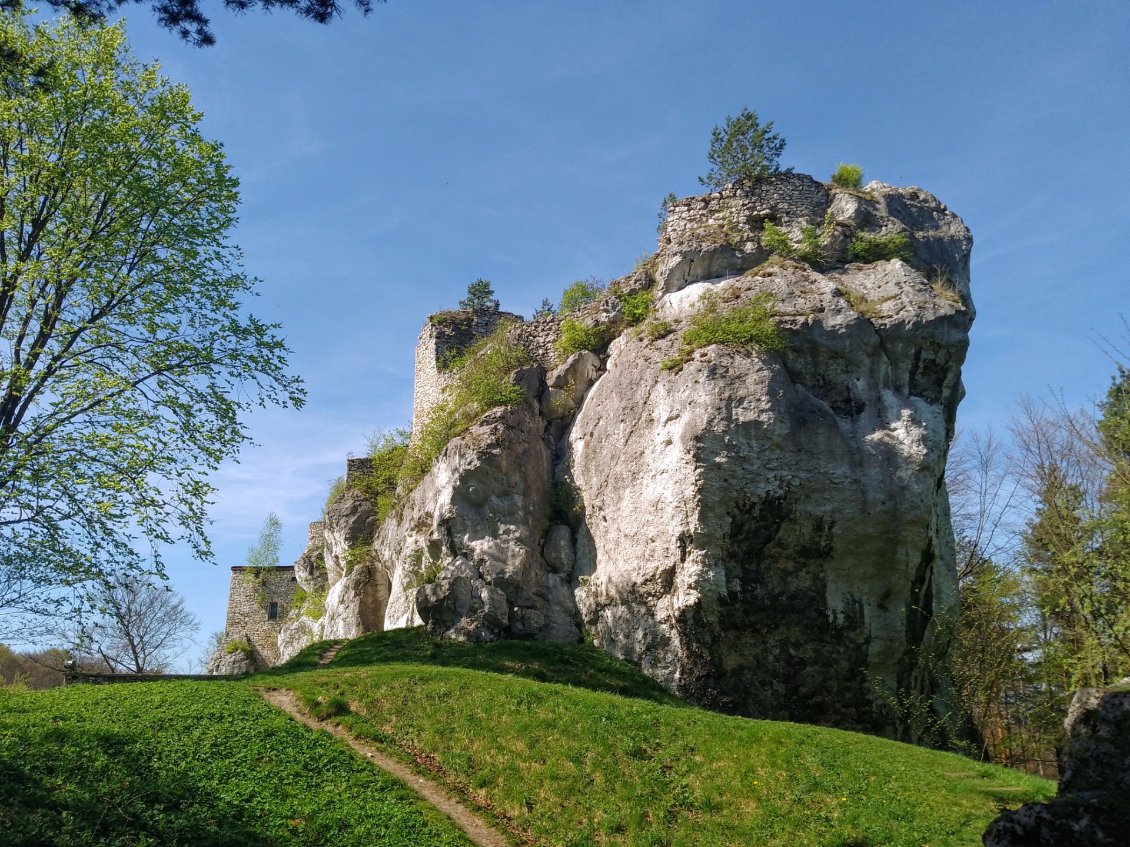 Le château de Bąkowiec se cache derrière.