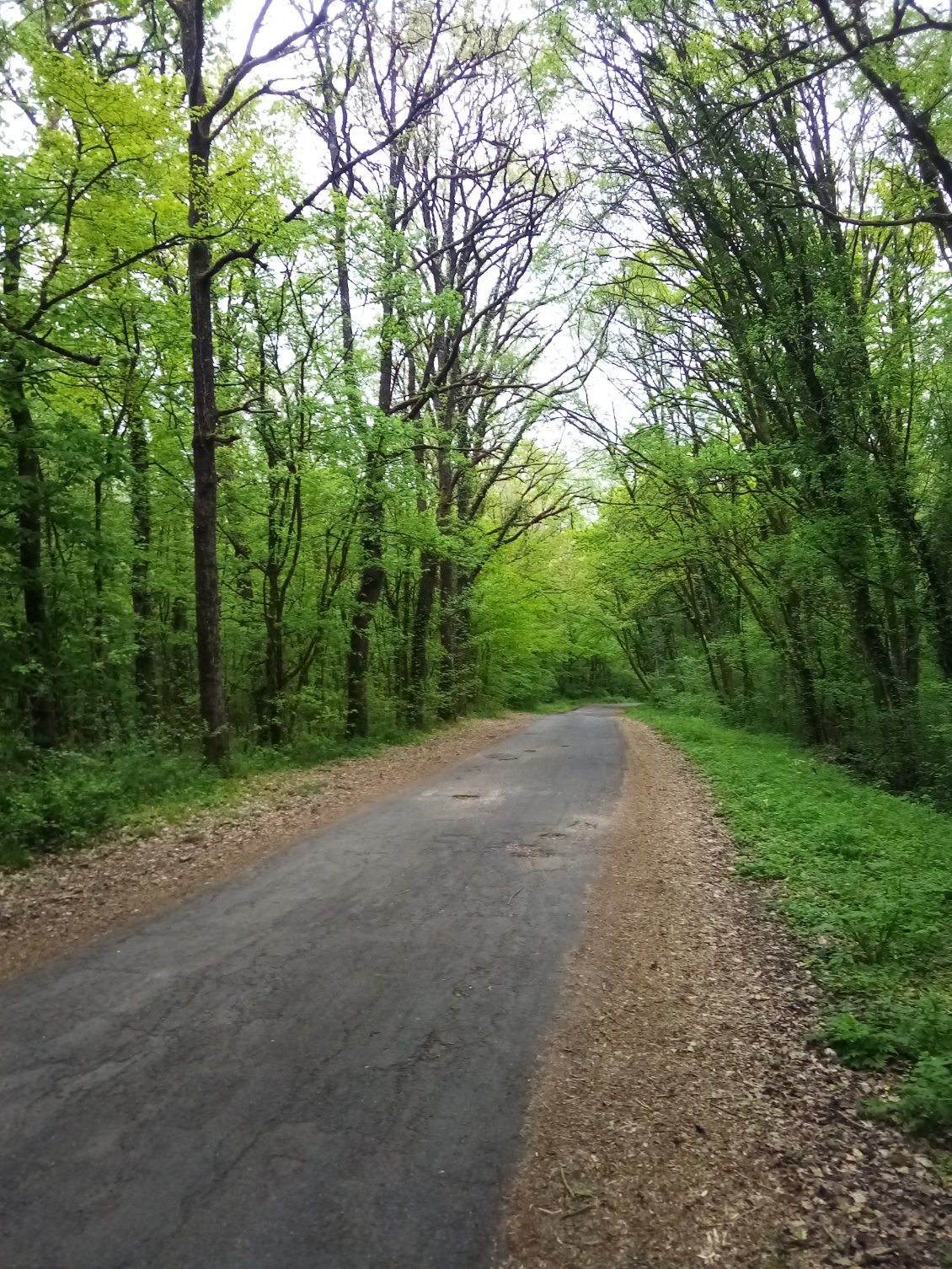 Elles ne sont pas chouettes les petites routes tranquilles de l'Indre à Vélo ?