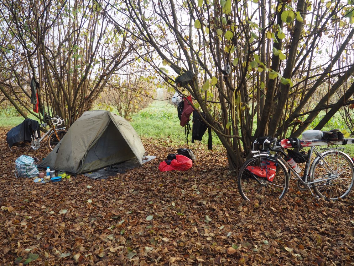 Bivouac sous les noisetiers.