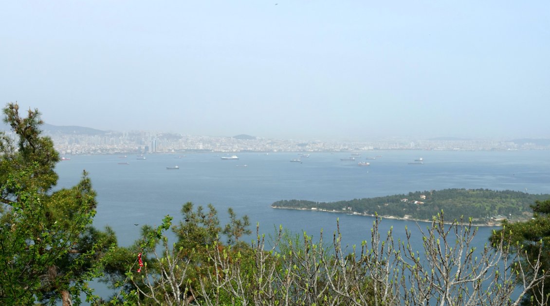 Depuis les îles des princes. Observation de l'éclosion des bourgeons et du traffic maritime.