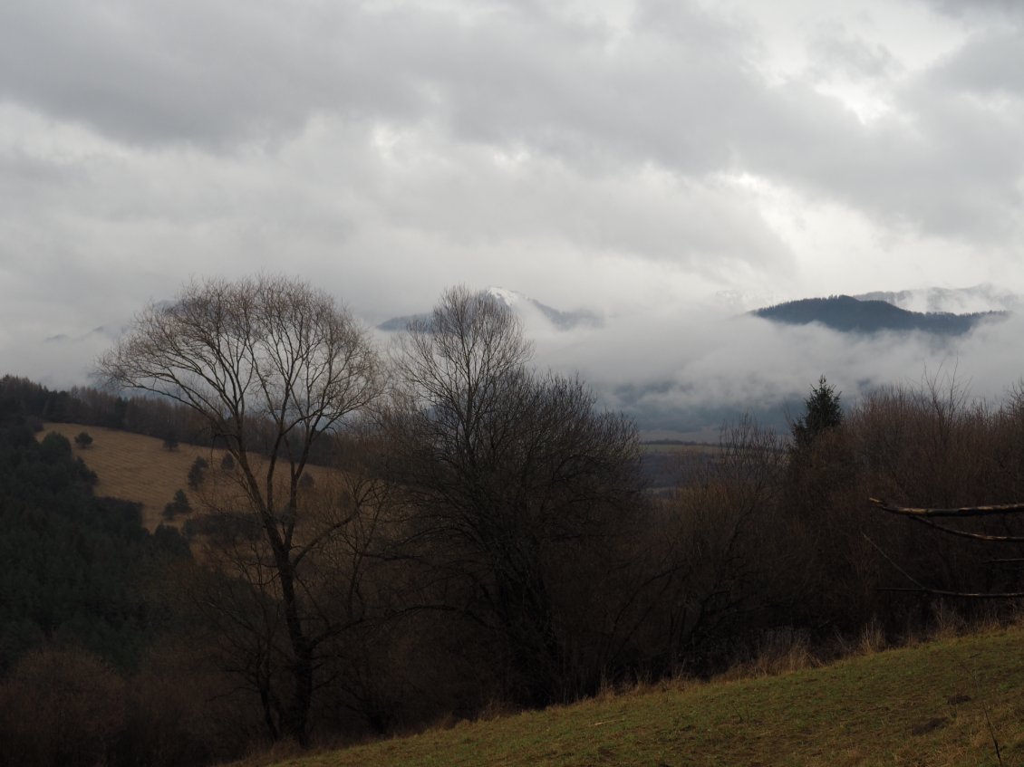 La pluie menace.